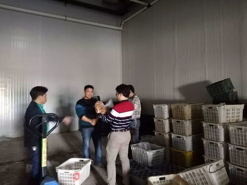?？谑乘幈O局靠前服務 以專業指導賦能合作社農產品深加工廠建設
