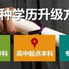 成都市金牌思維教育咨詢有限責任公司 專業教育咨詢，點亮成長之路
